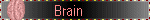 brain_dead